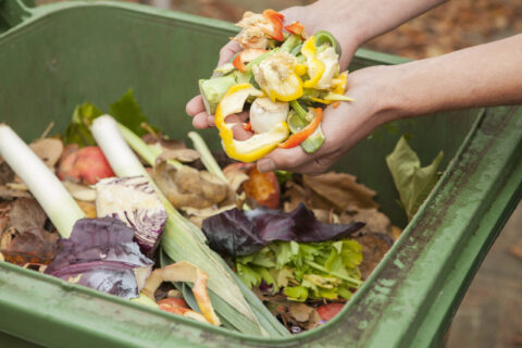 Kitchen and Garden Waste